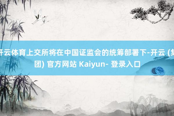 开云体育上交所将在中国证监会的统筹部署下-开云 (集团) 官方网站 Kaiyun- 登录入口