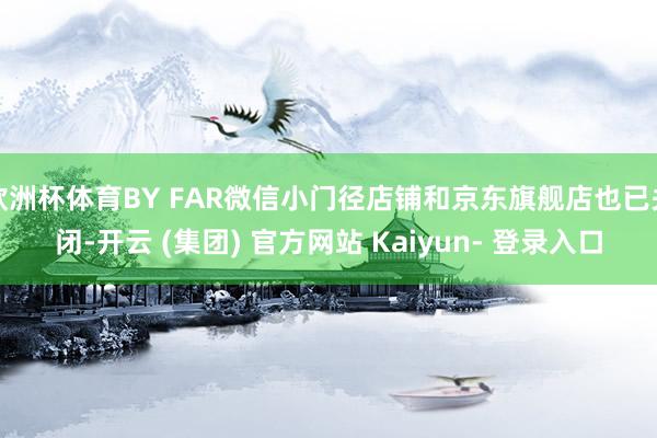 欧洲杯体育BY FAR微信小门径店铺和京东旗舰店也已关闭-开云 (集团) 官方网站 Kaiyun- 登录入口