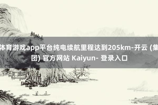 体育游戏app平台纯电续航里程达到205km-开云 (集团) 官方网站 Kaiyun- 登录入口